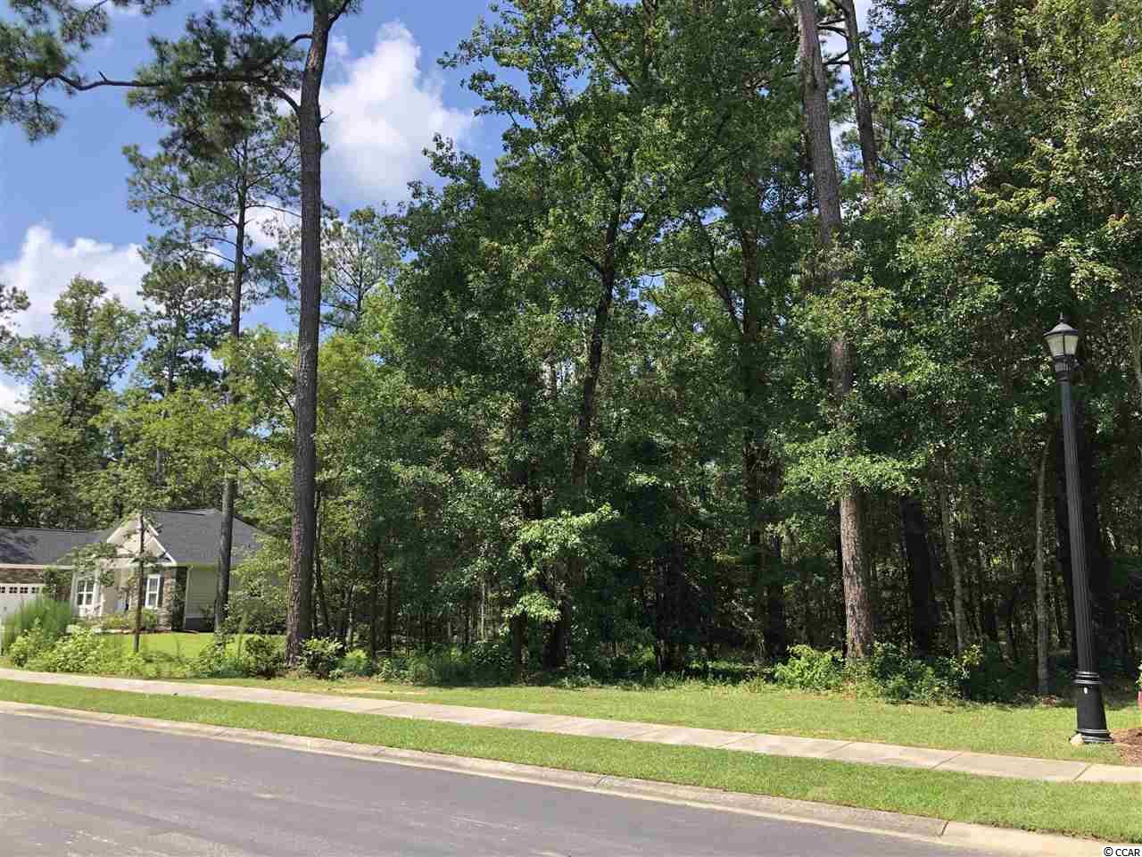 468 Chamberlin Road Myrtle Beach, SC 29588 - Photo 2 of 4 Gallery Image 2