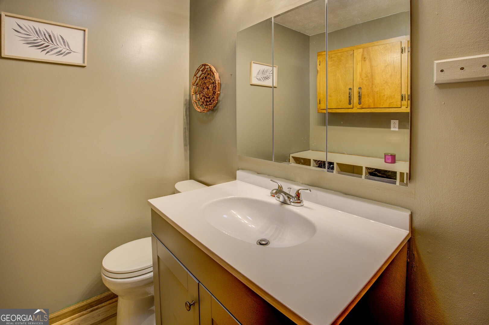 162 Collins Road Jackson, GA 30233 - Photo 47 of 77 a bathroom with a sink a toilet and mirror