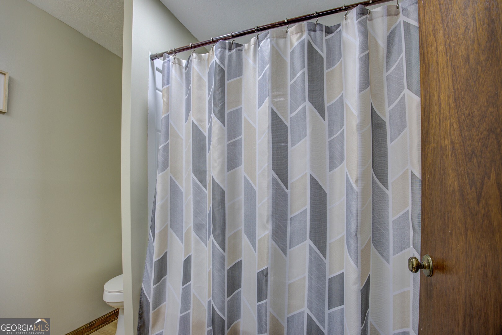 162 Collins Road Jackson, GA 30233 - Photo 48 of 77 a close view of shower curtain