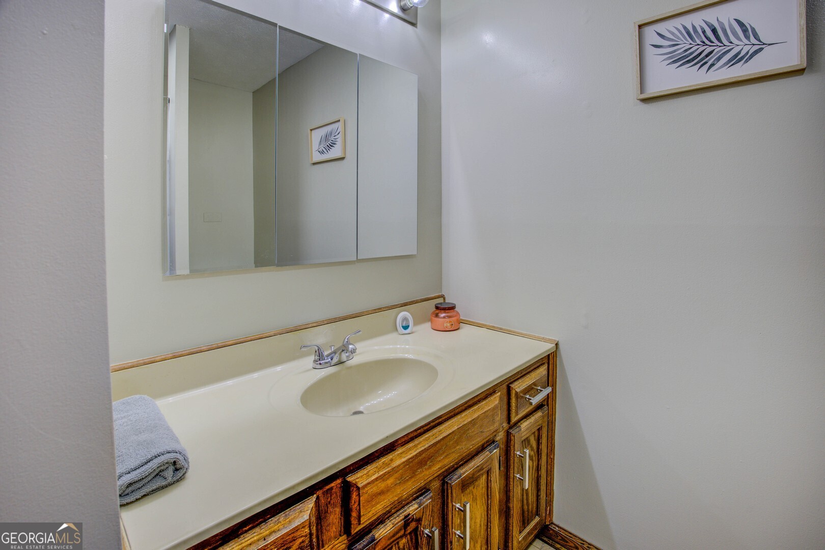 162 Collins Road Jackson, GA 30233 - Photo 49 of 77 a bathroom with a sink and a mirror