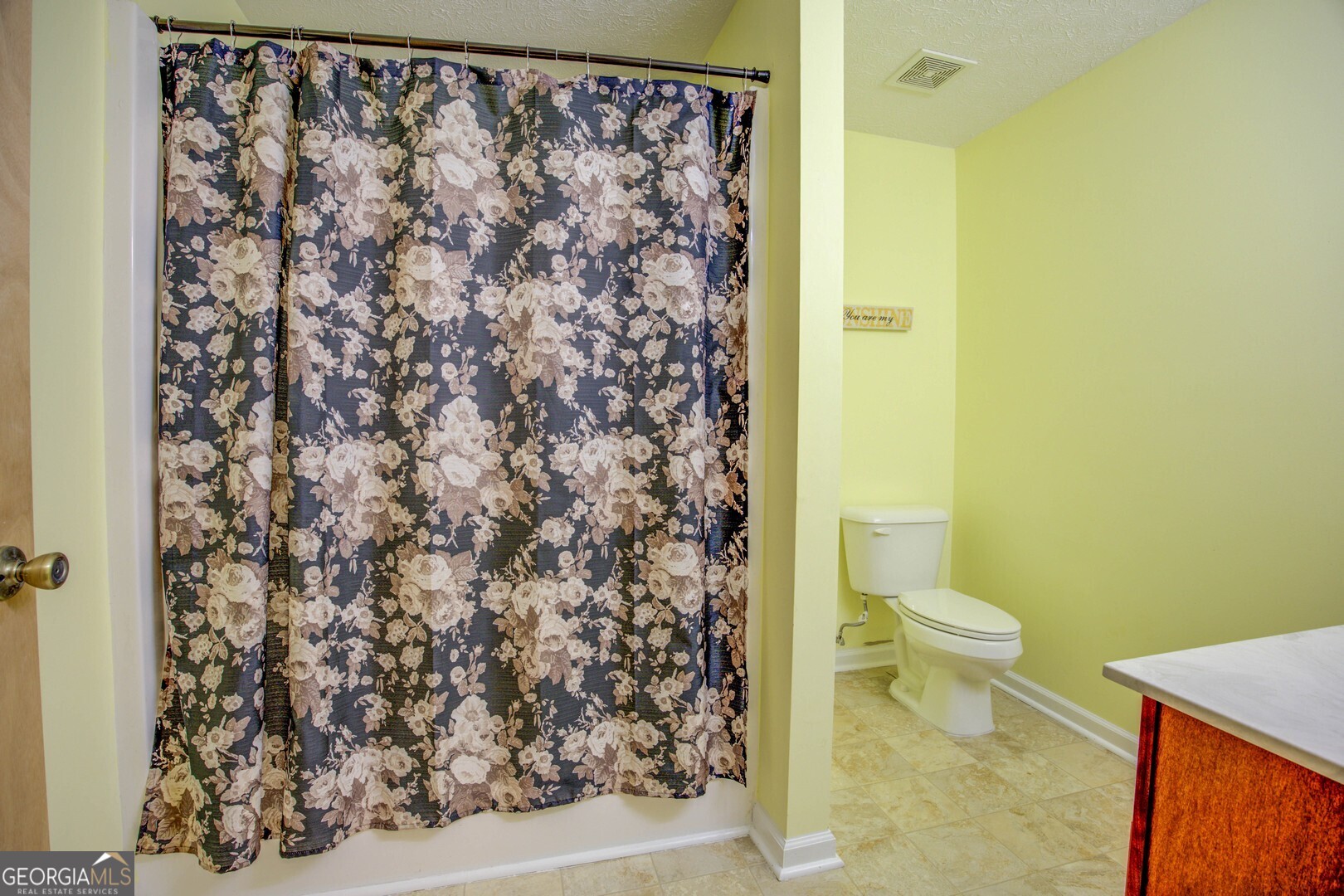 162 Collins Road Jackson, GA 30233 - Photo 54 of 77 a white toilet sitting next to a shower curtain