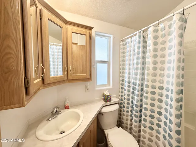 a bathroom with a sink a toilet and shower curtain
