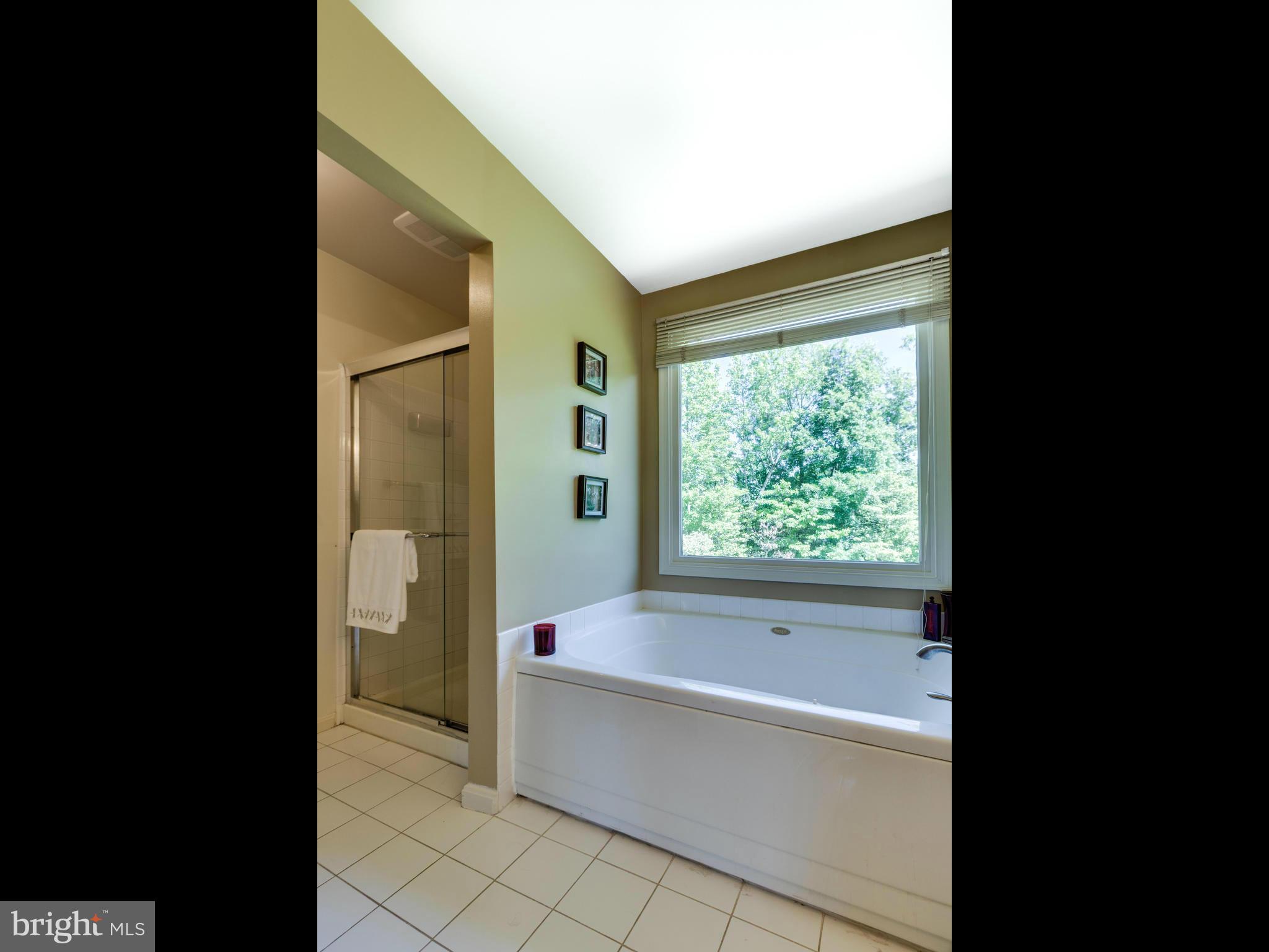 704 Rufford Court Accokeek, MD 20607 - Photo 18 of 30 Bath (Master)