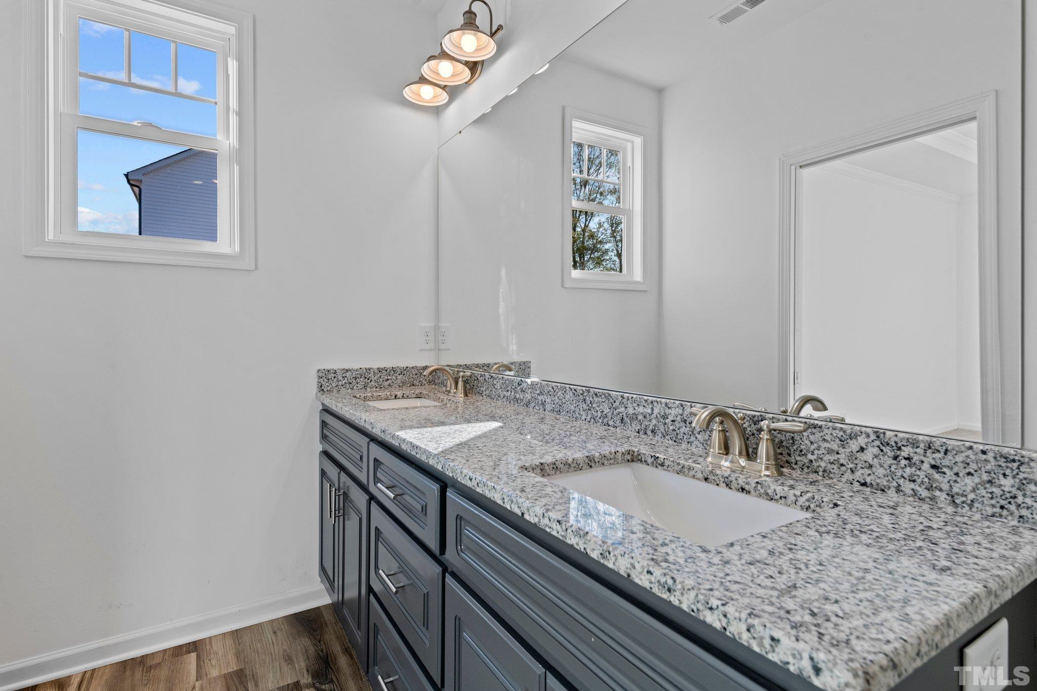 9771 Chapman Road Bailey, NC 27807 - Photo 15 of 35 a bathroom with a granite countertop sink and a mirror