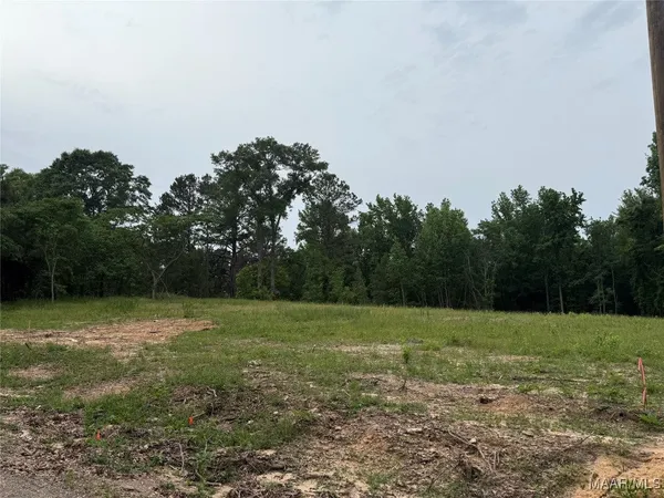 $24,900 | 658 Nichols Avenue, Eclectic, AL 36024