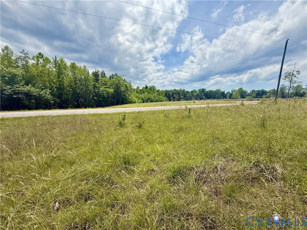 Lot 26 Whispering Wood Road Meherrin, VA 23954 - Photo 6 of 10