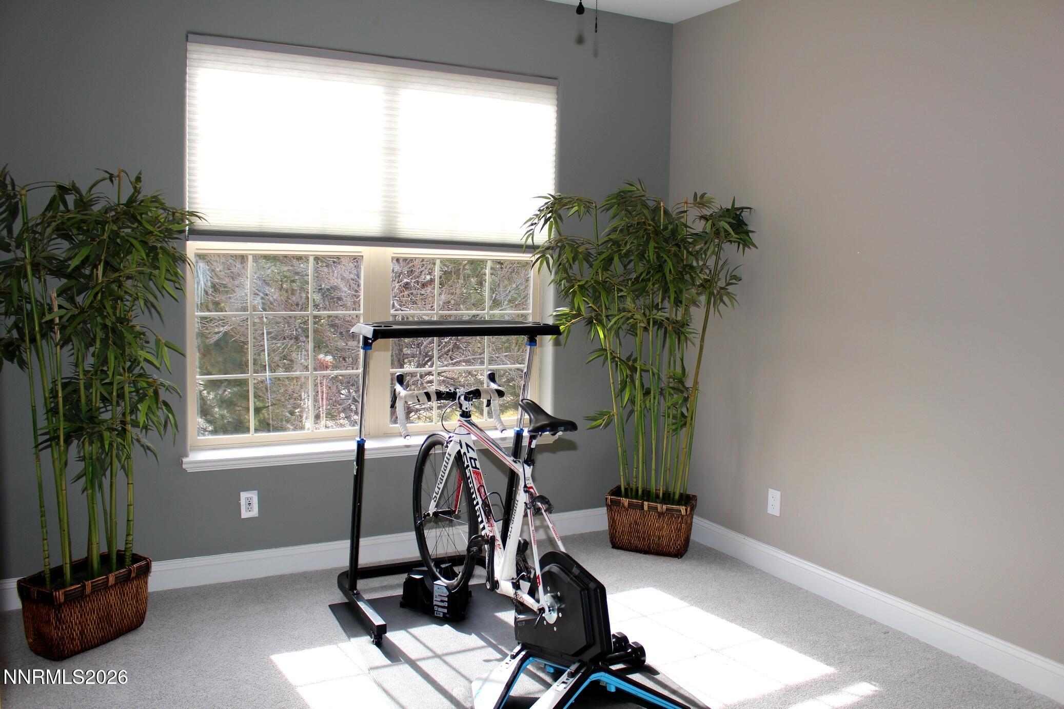 5025 Landy Bank Court Reno, NV 89519 - Photo 62 of 70 IMG_0947