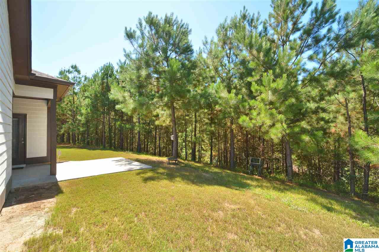 4936 Hawthorne Place Chelsea, AL 35043 - Photo 32 of 36