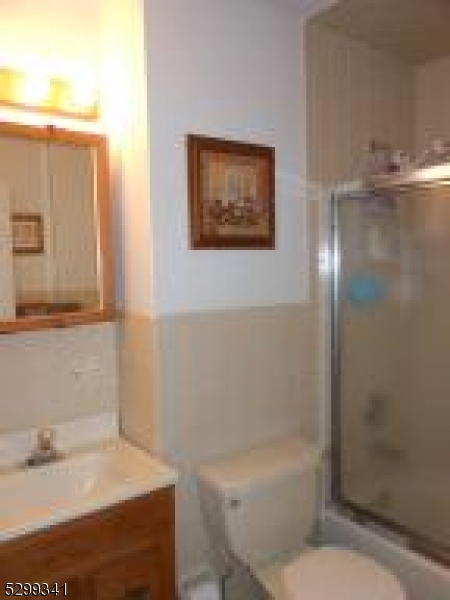 206 Ryerson Road Lincoln Park, NJ 07035 - Photo 13 of 23 a bathroom with a sink a toilet and shower