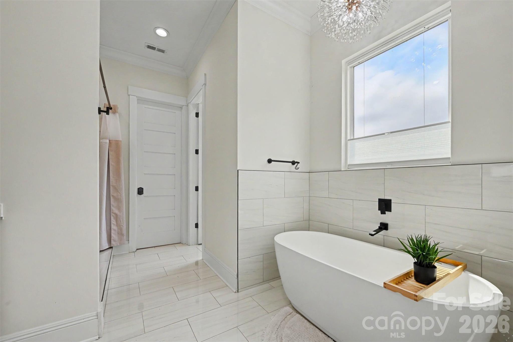 31 Ridgecrest Avenue Peachland, NC 28133 - Photo 18 of 30 a bath room with a tub and a potted plant