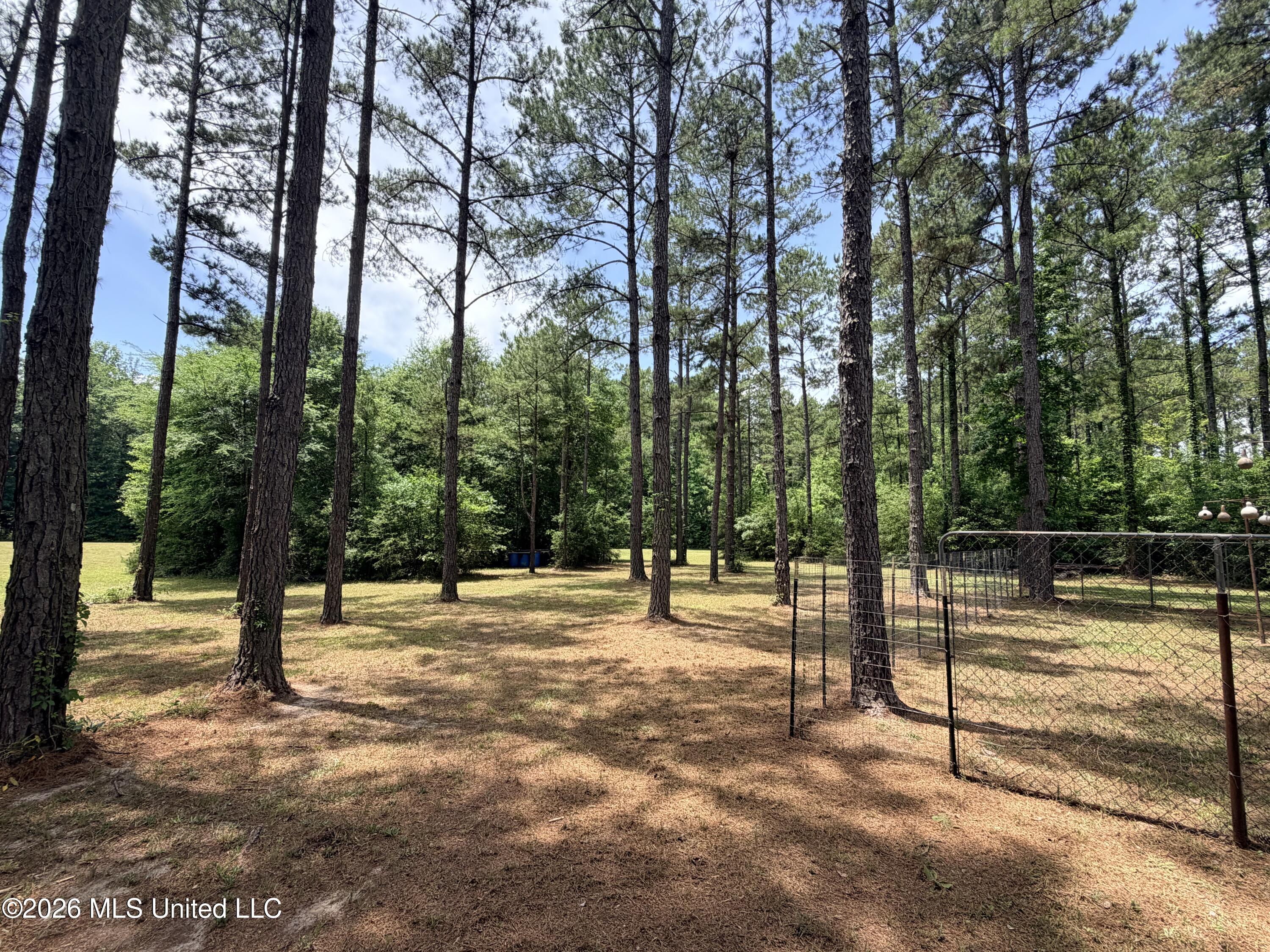 78 Game Reserve Road Columbia, MS 39429 - Photo 13 of 30 IMG_3994