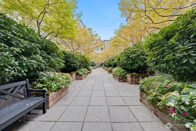 a view of a terrace with trees