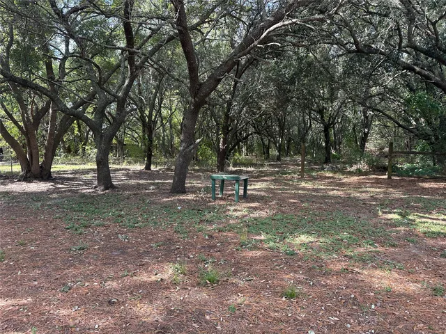 a view of outdoor space with trees