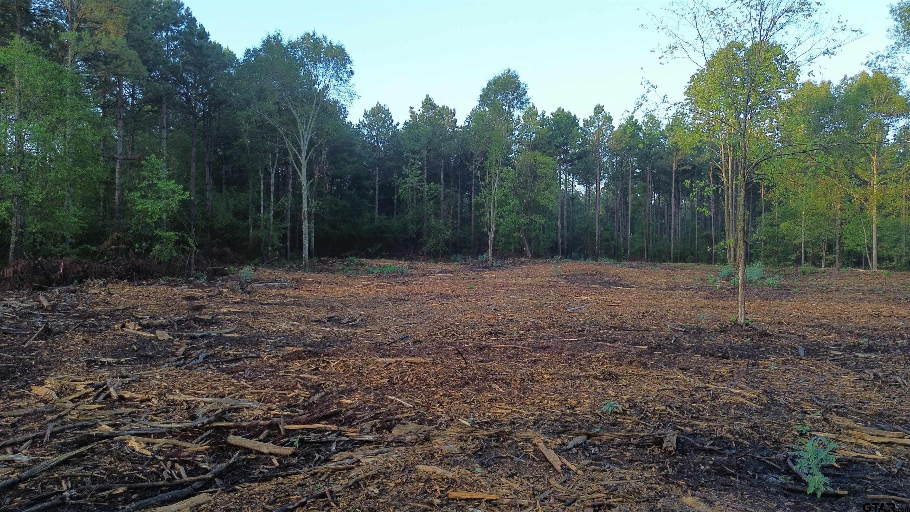 a view of outdoor space with trees