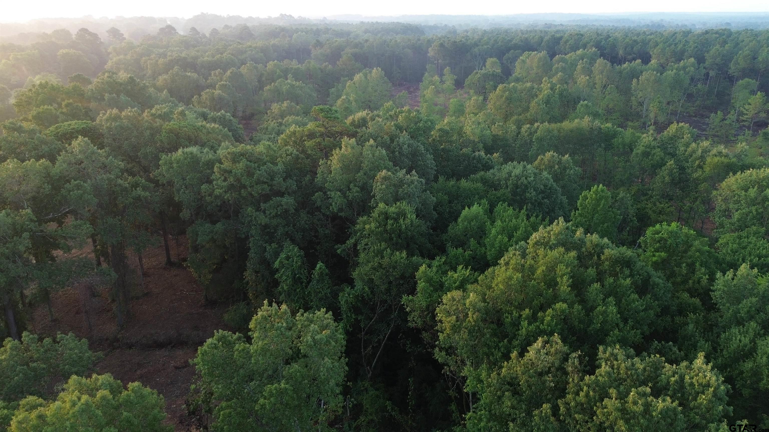 2000 Highway 80 Haughton, LA 71037 - Photo 12 of 21 an aerial view of residential house with outdoor space and trees all around