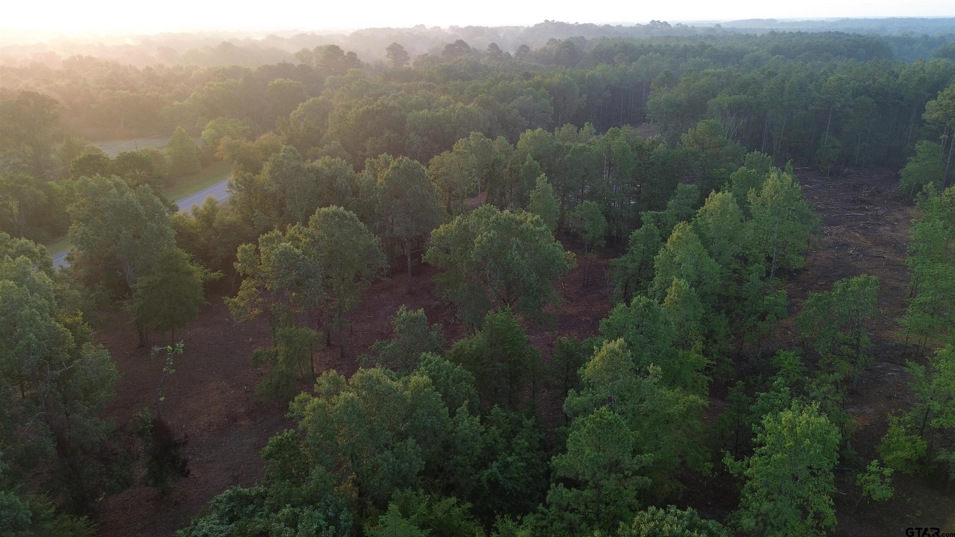 2000 Highway 80 Haughton, LA 71037 - Photo 13 of 21 a view of a city with lush green forest