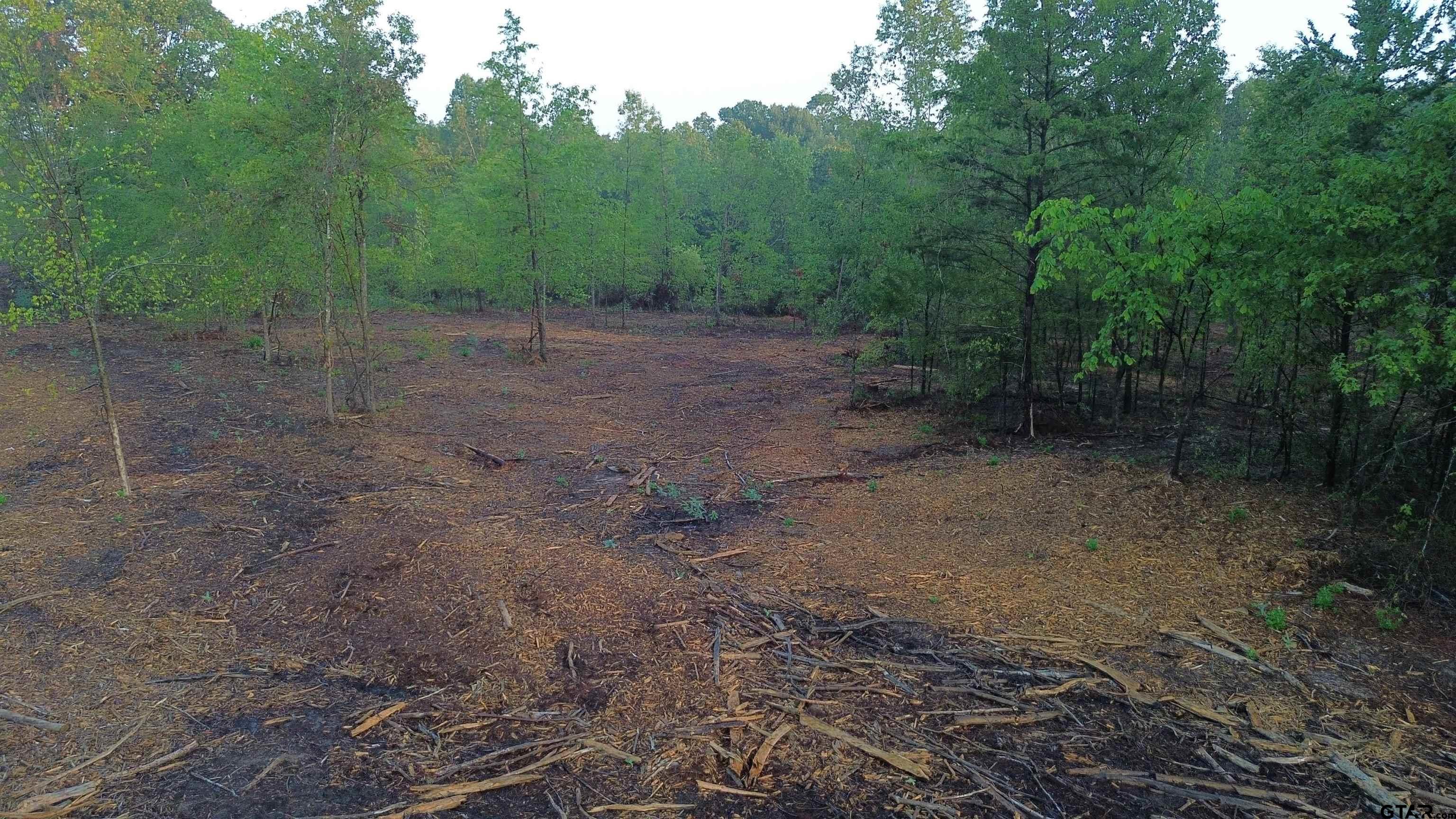 2000 Highway 80 Haughton, LA 71037 - Photo 16 of 21 a view of a forest with trees in the background