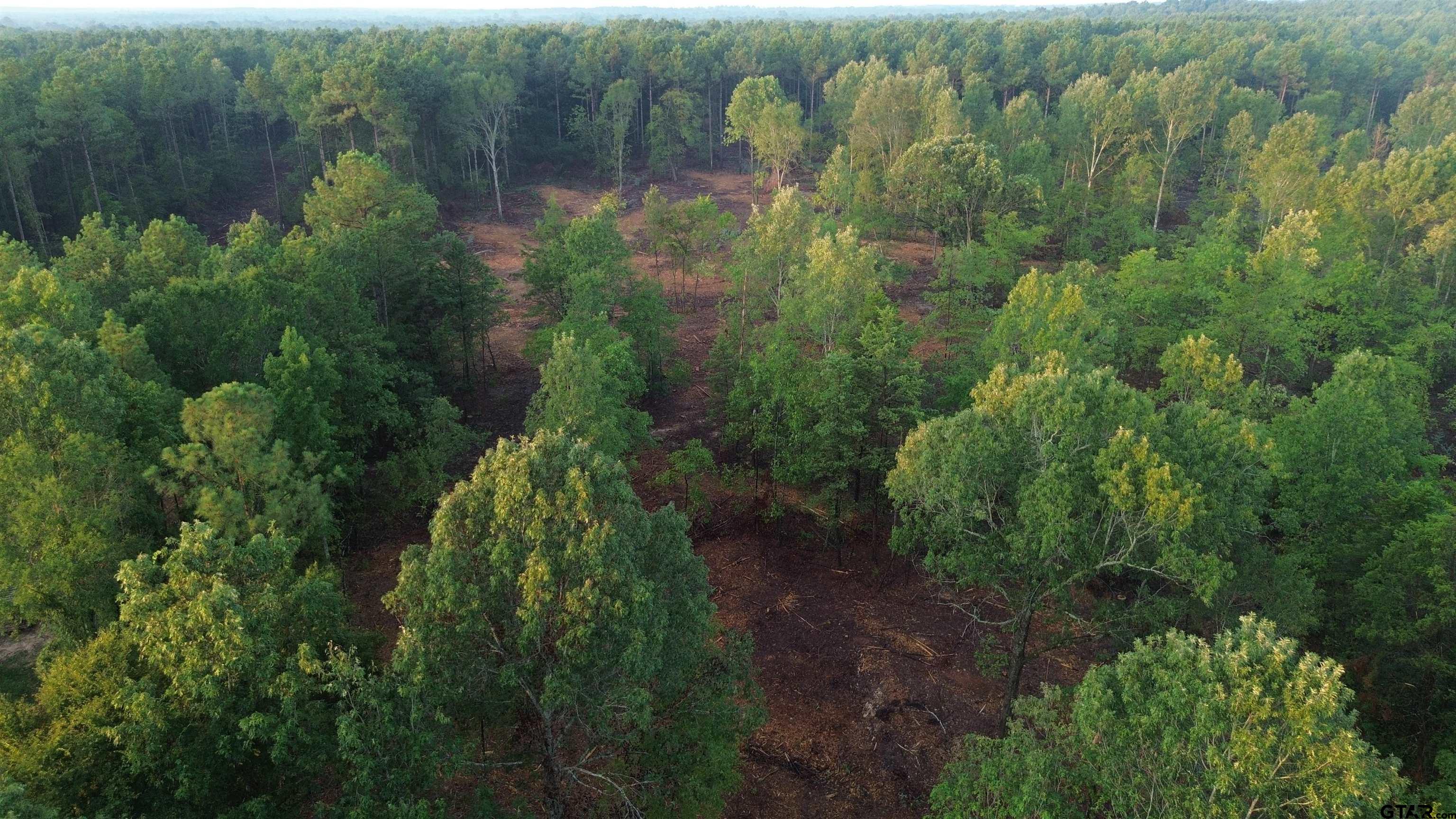 2000 Highway 80 Haughton, LA 71037 - Photo 18 of 21 a view of a garden with a lake