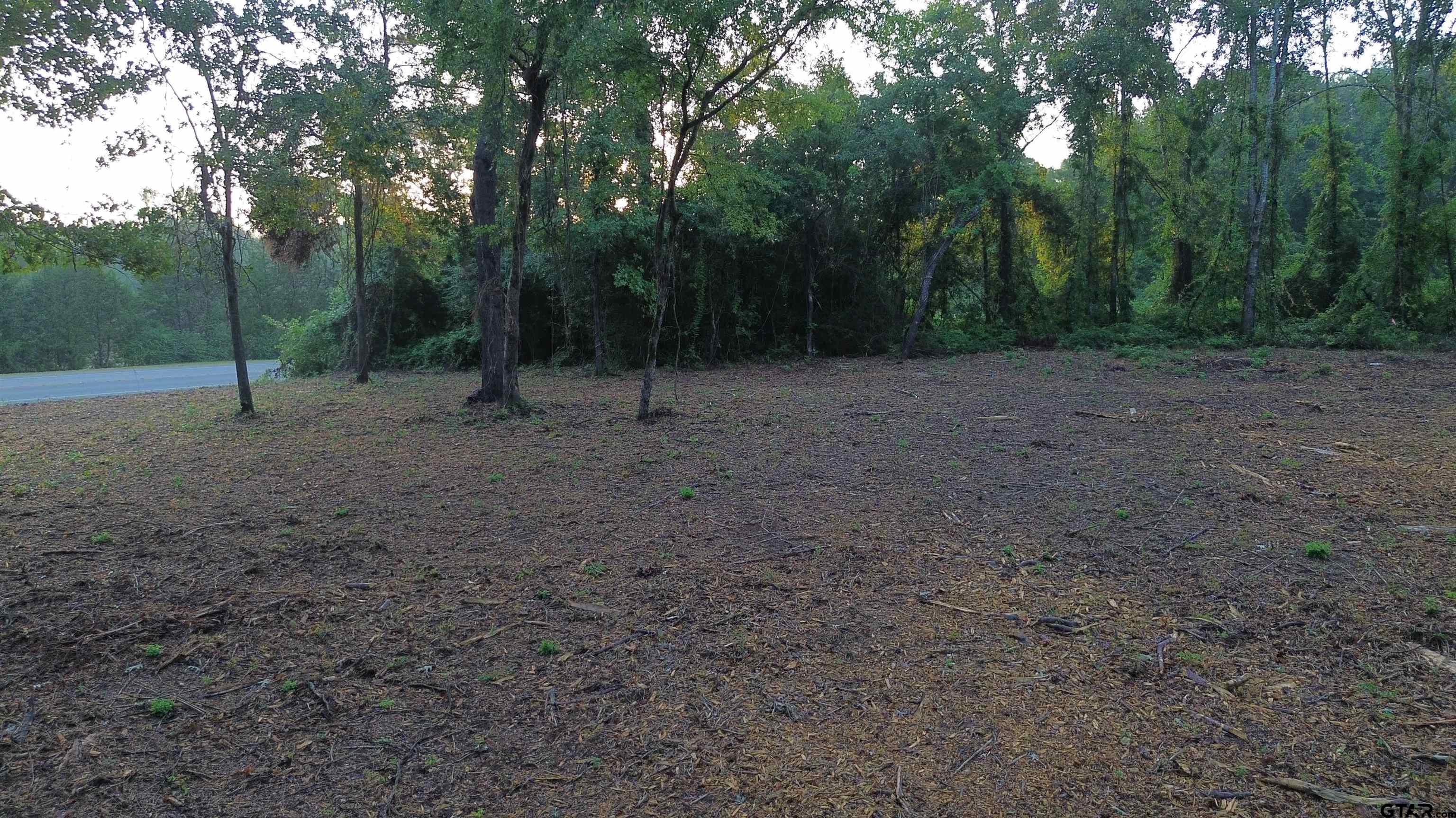 2000 Highway 80 Haughton, LA 71037 - Photo 19 of 21 a view of a forest with trees in the background