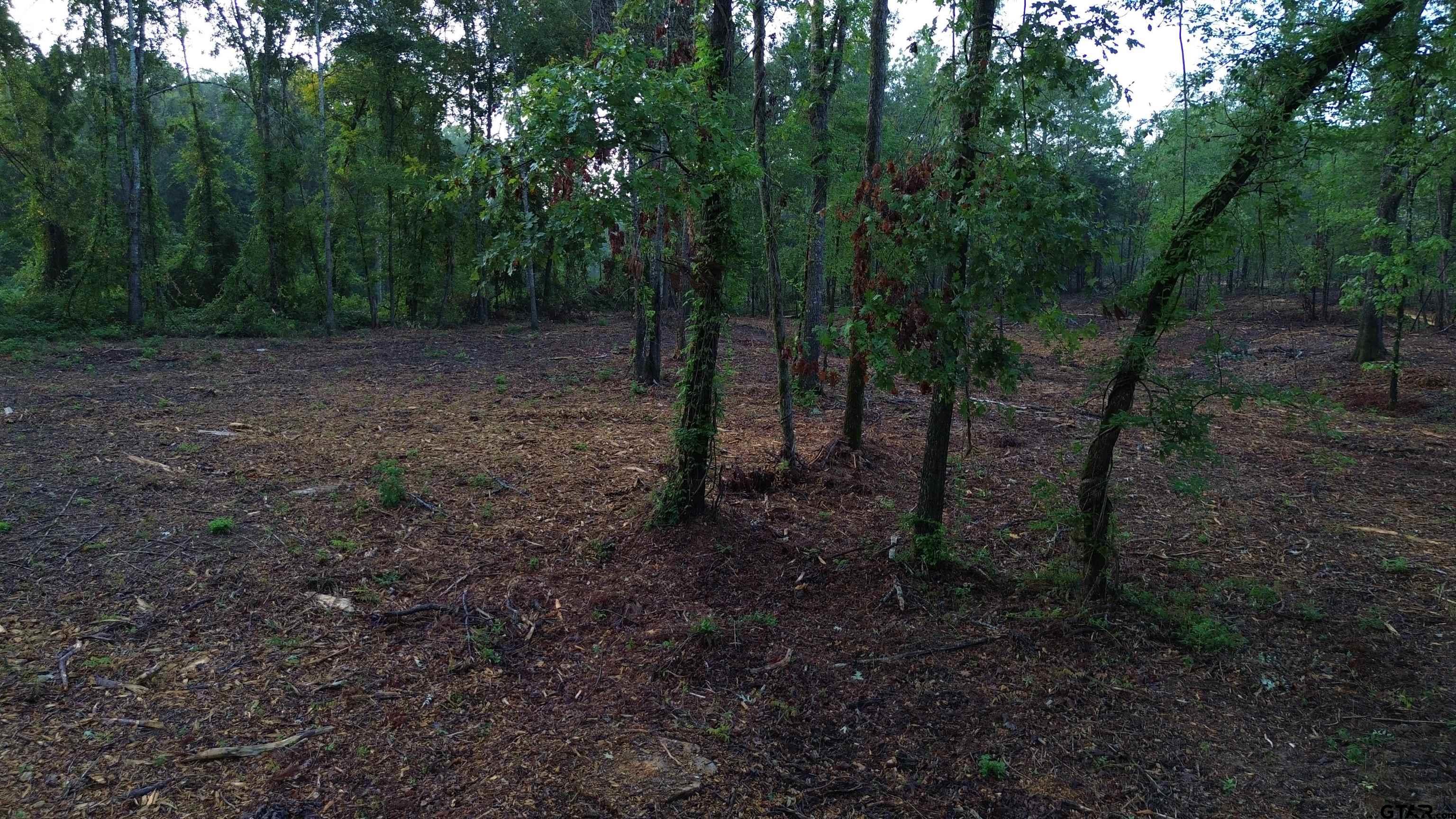 2000 Highway 80 Haughton, LA 71037 - Photo 20 of 21 a view of a forest with trees in the background