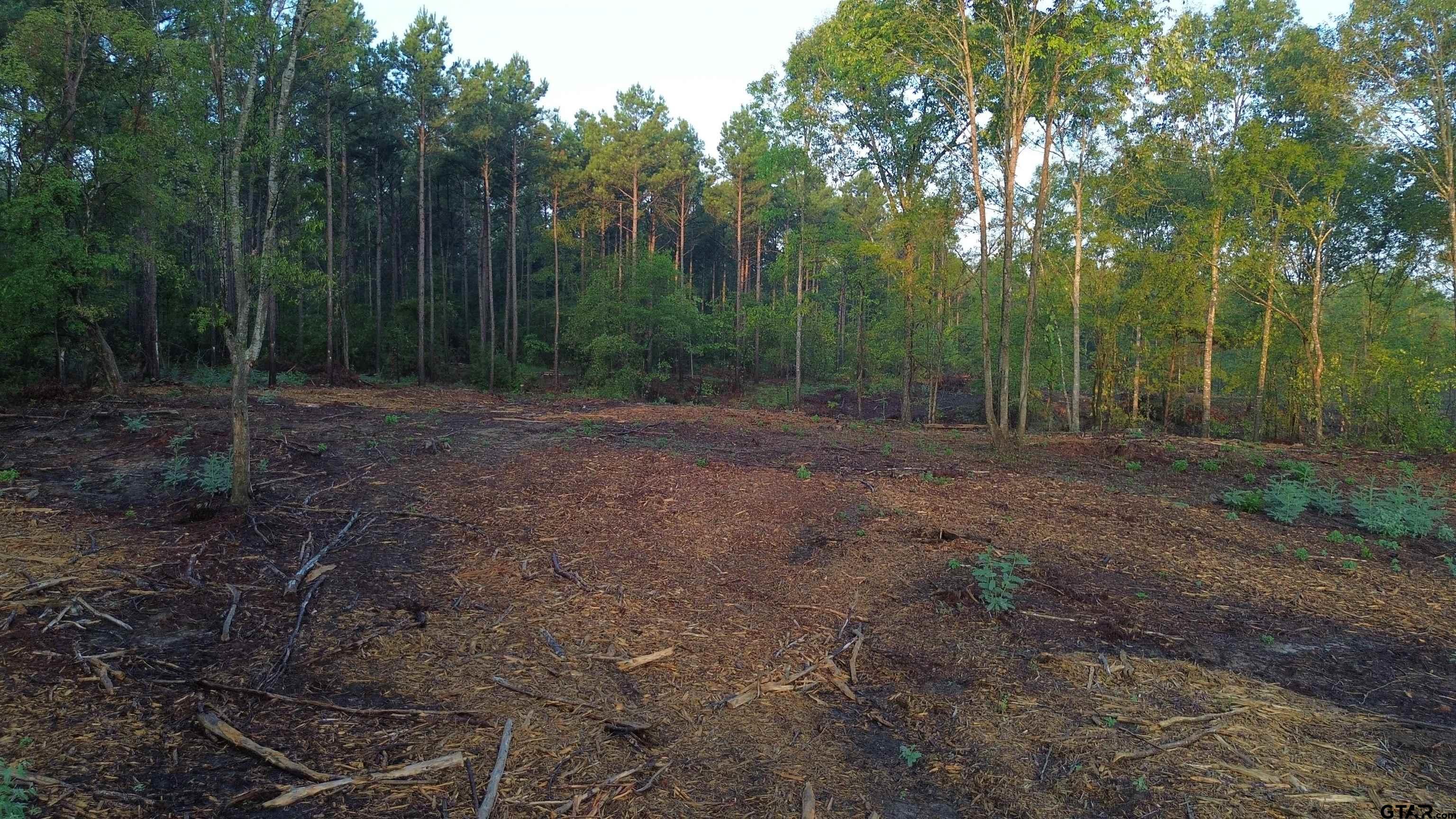 2000 Highway 80 Haughton, LA 71037 - Photo 21 of 21 a view of a yard with trees in front of it