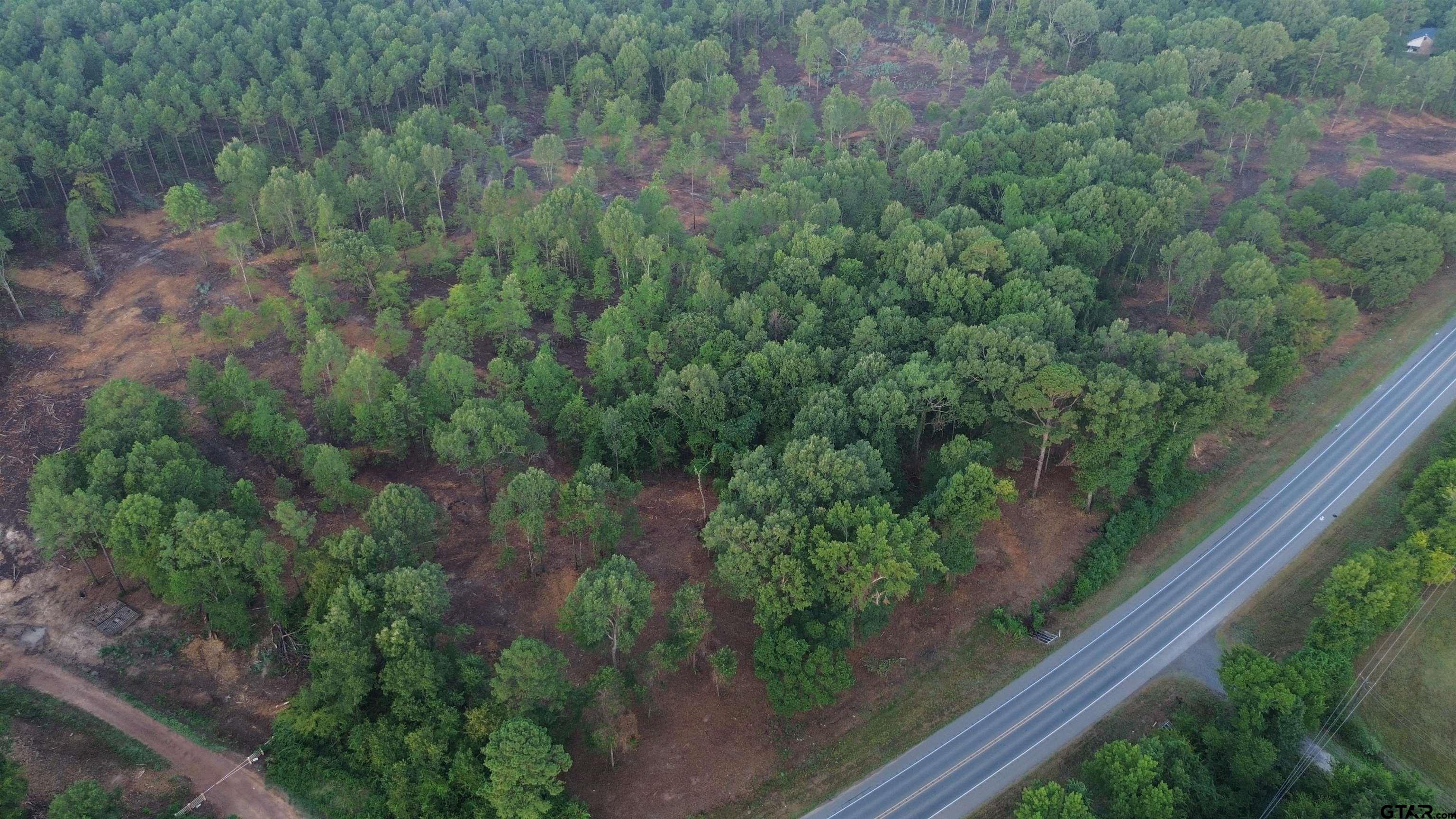 2000 Highway 80 Haughton, LA 71037 - Photo 4 of 21 a view of a forest with a street