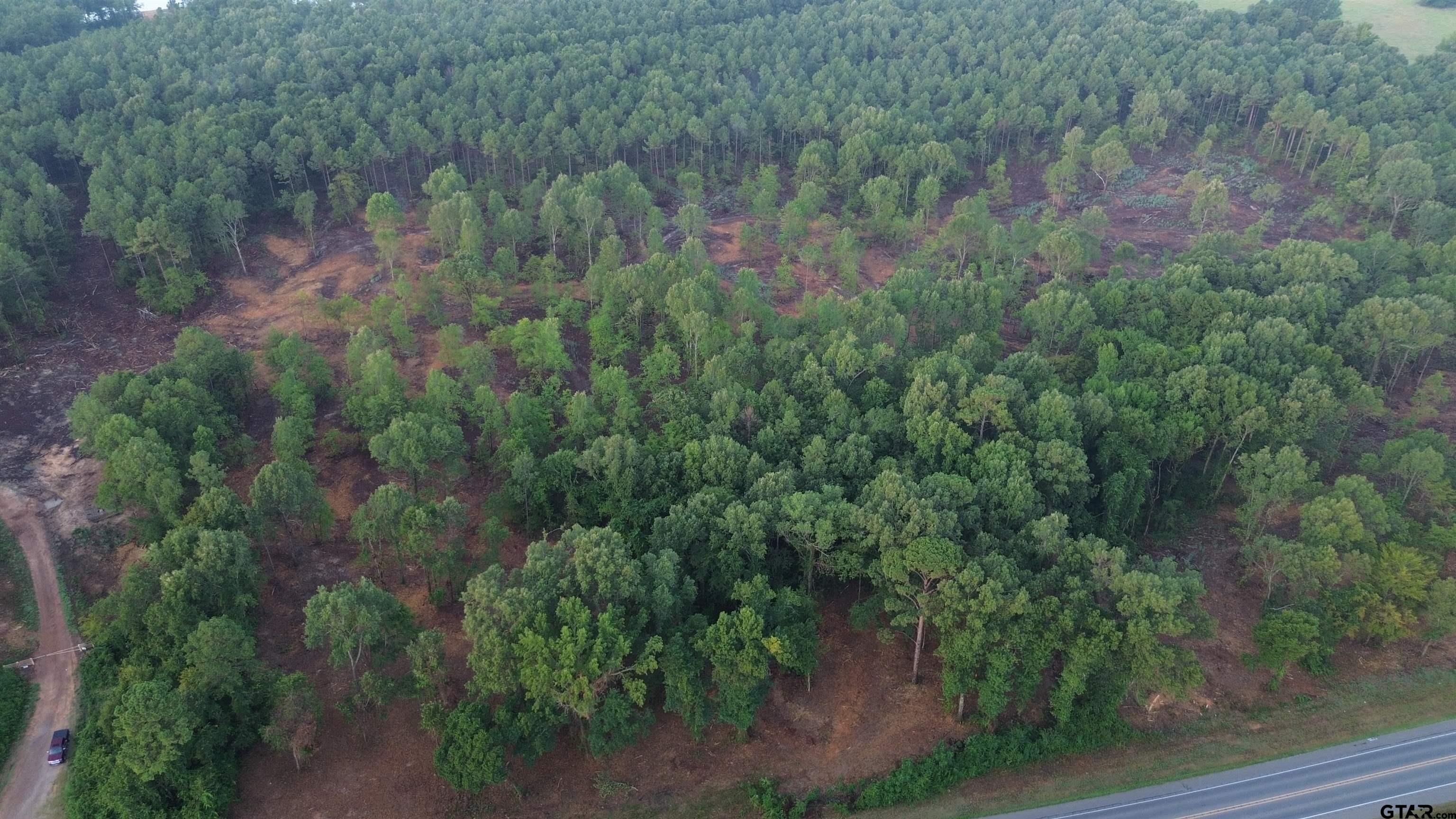 2000 Highway 80 Haughton, LA 71037 - Photo 5 of 21 a view of a forest with a street
