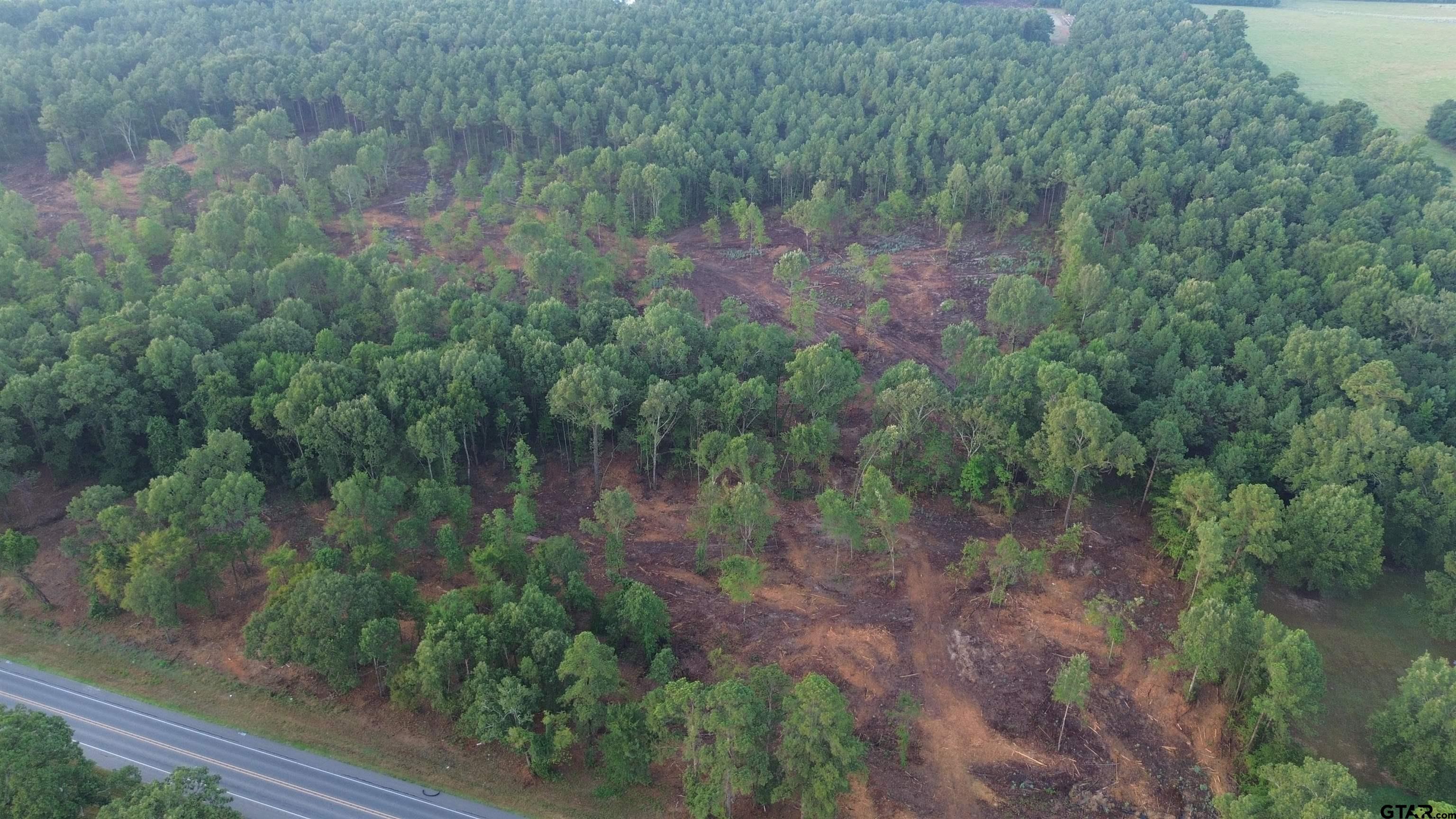 2000 Highway 80 Haughton, LA 71037 - Photo 6 of 21 a view of a forest with a lake
