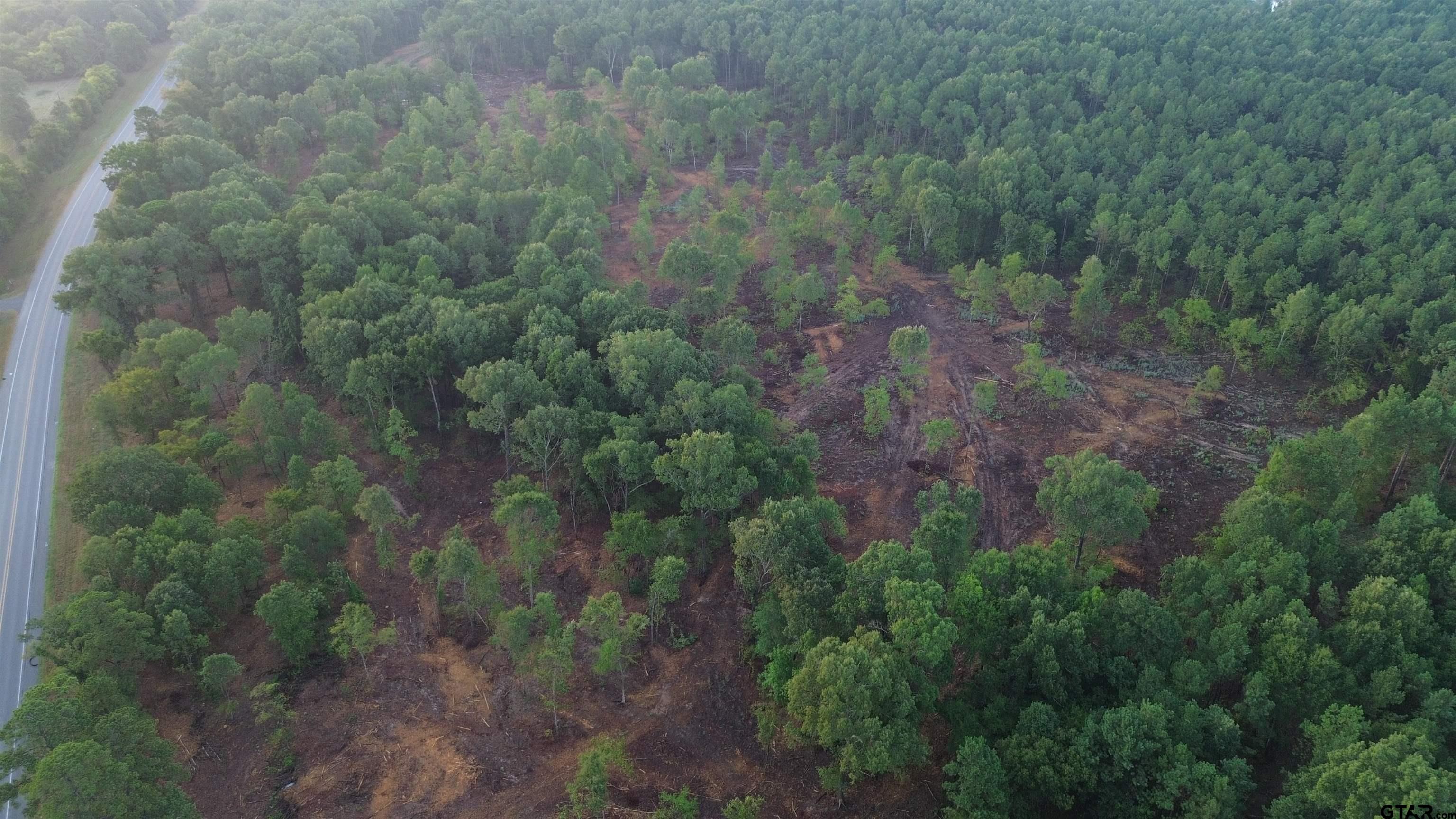 2000 Highway 80 Haughton, LA 71037 - Photo 7 of 21 a view of a forest with trees and houses