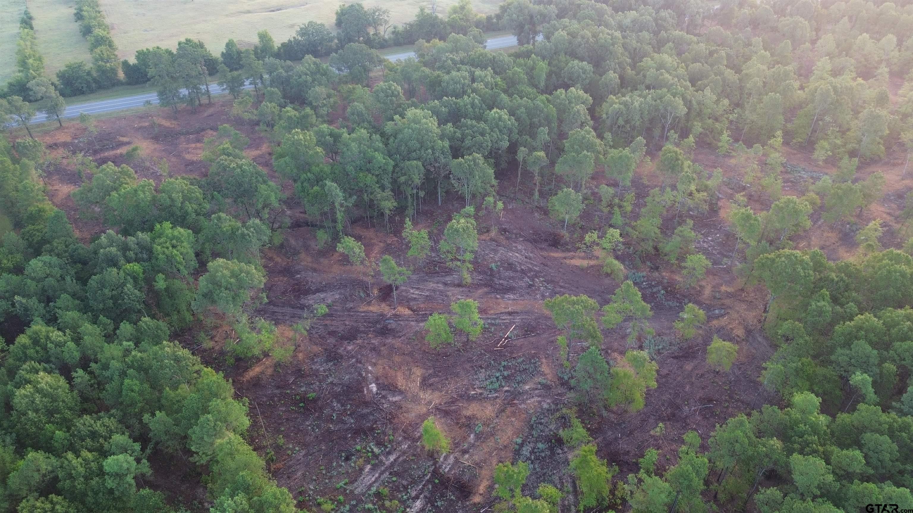 2000 Highway 80 Haughton, LA 71037 - Photo 8 of 21 a view of a yard