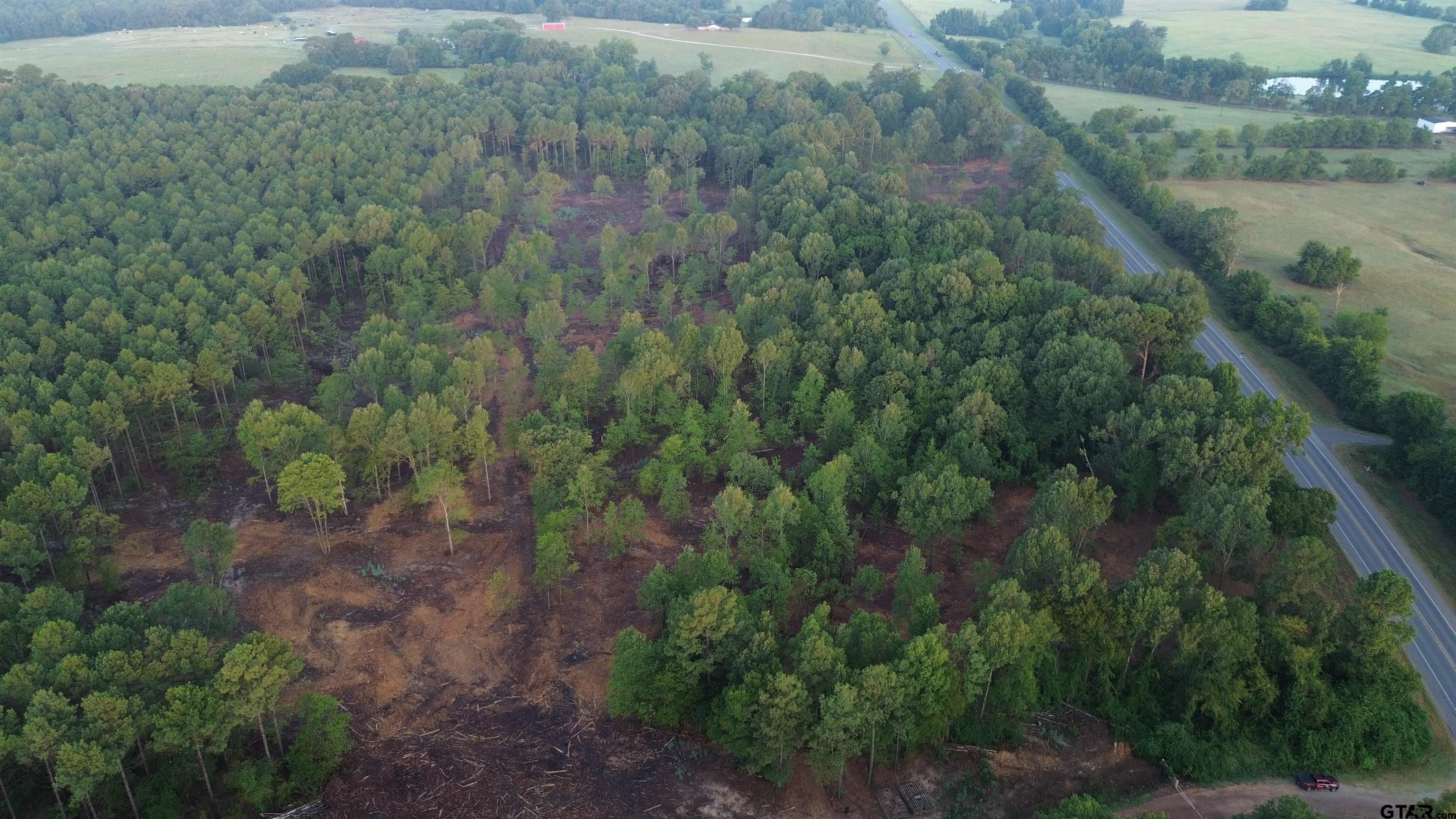 2000 Highway 80 Haughton, LA 71037 - Photo 9 of 21 a view of a forest with a forest