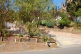 a view of a yard