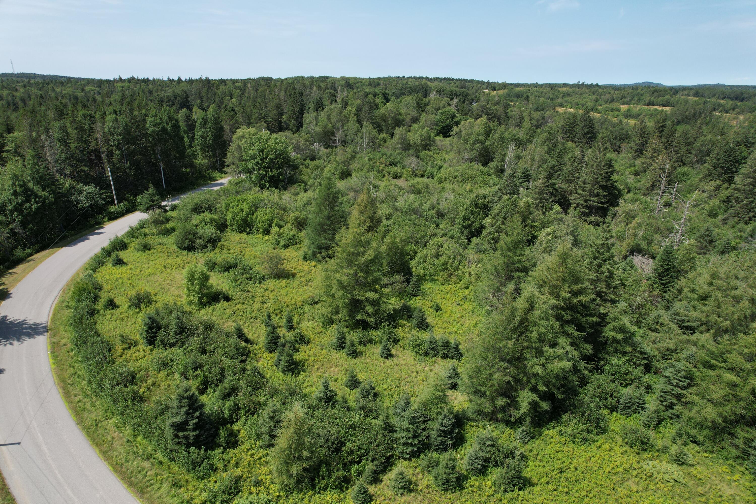 Lot 9 Wilcox Road Lubec, ME 04652 - Photo 5 of 29 DJI_0275