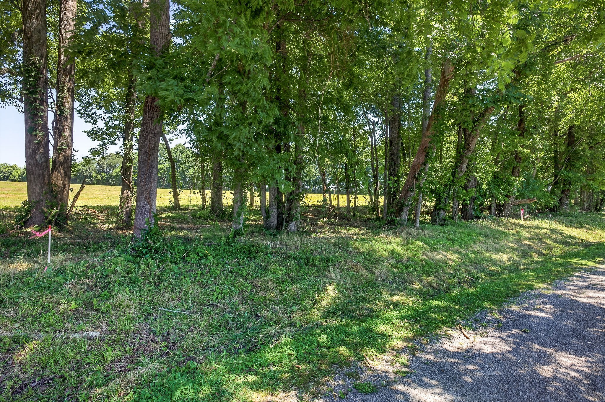 0 Bethel Road Smithville, TN 37166 - Photo 16 of 19 Gallery Image 16