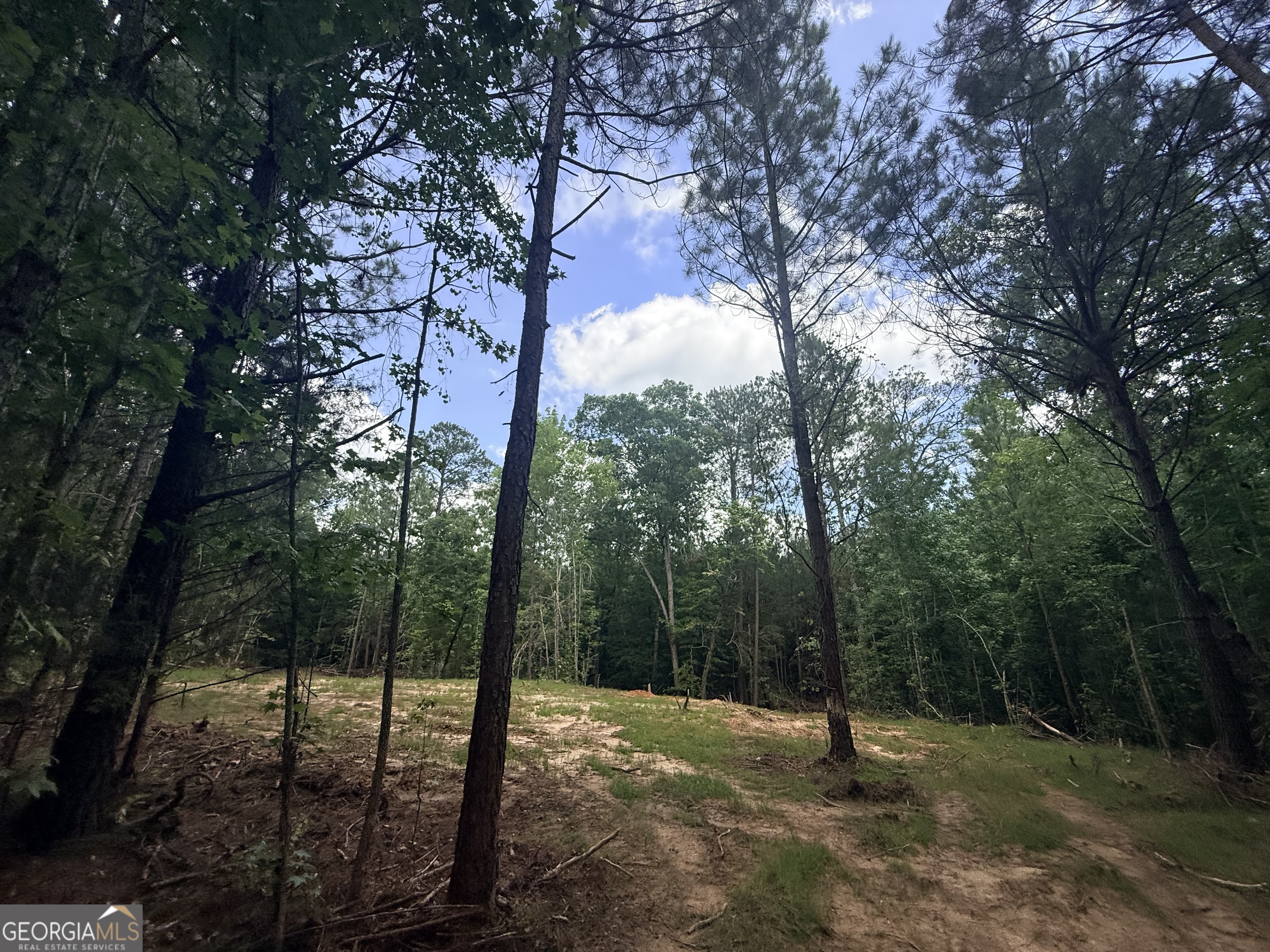 2787 Cedar Creek Road Elberton, GA 30635 - Photo 65 of 88