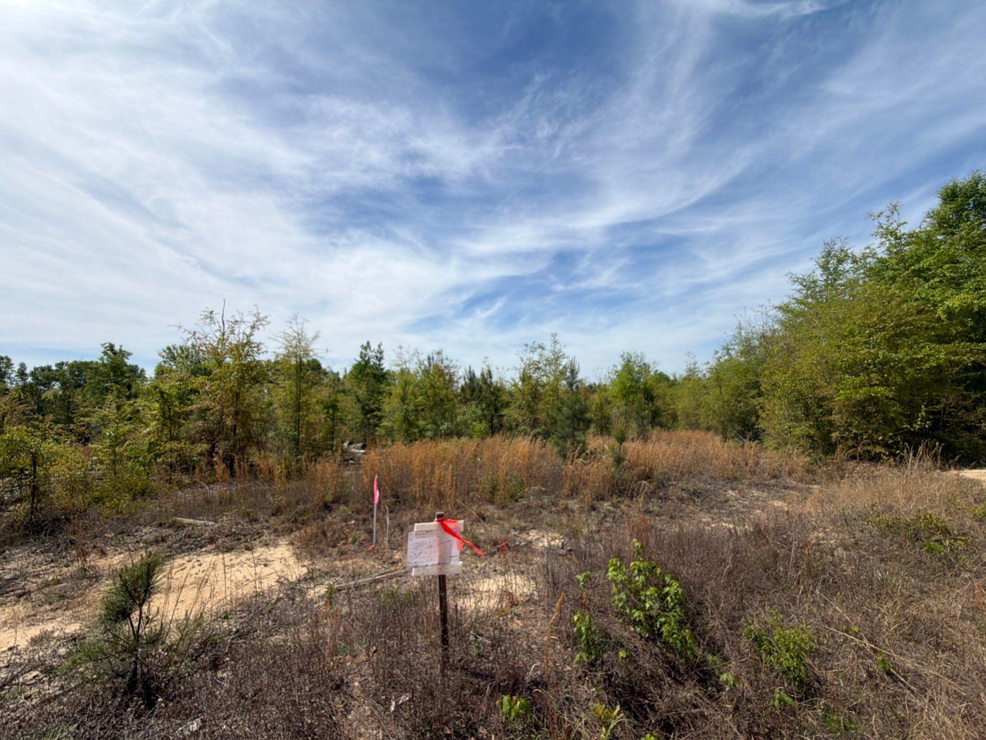 7 Rogers Cemetery Road, Unit RRF 7 Salley, SC 29137 - Photo 6 of 14