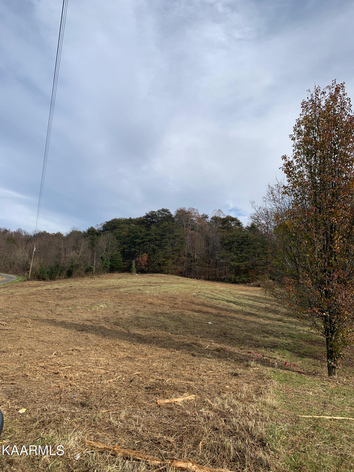 670-758 Carrol Greenlee Road Rutledge, TN 37861 - Photo 2 of 4 Carrol Greenlee2