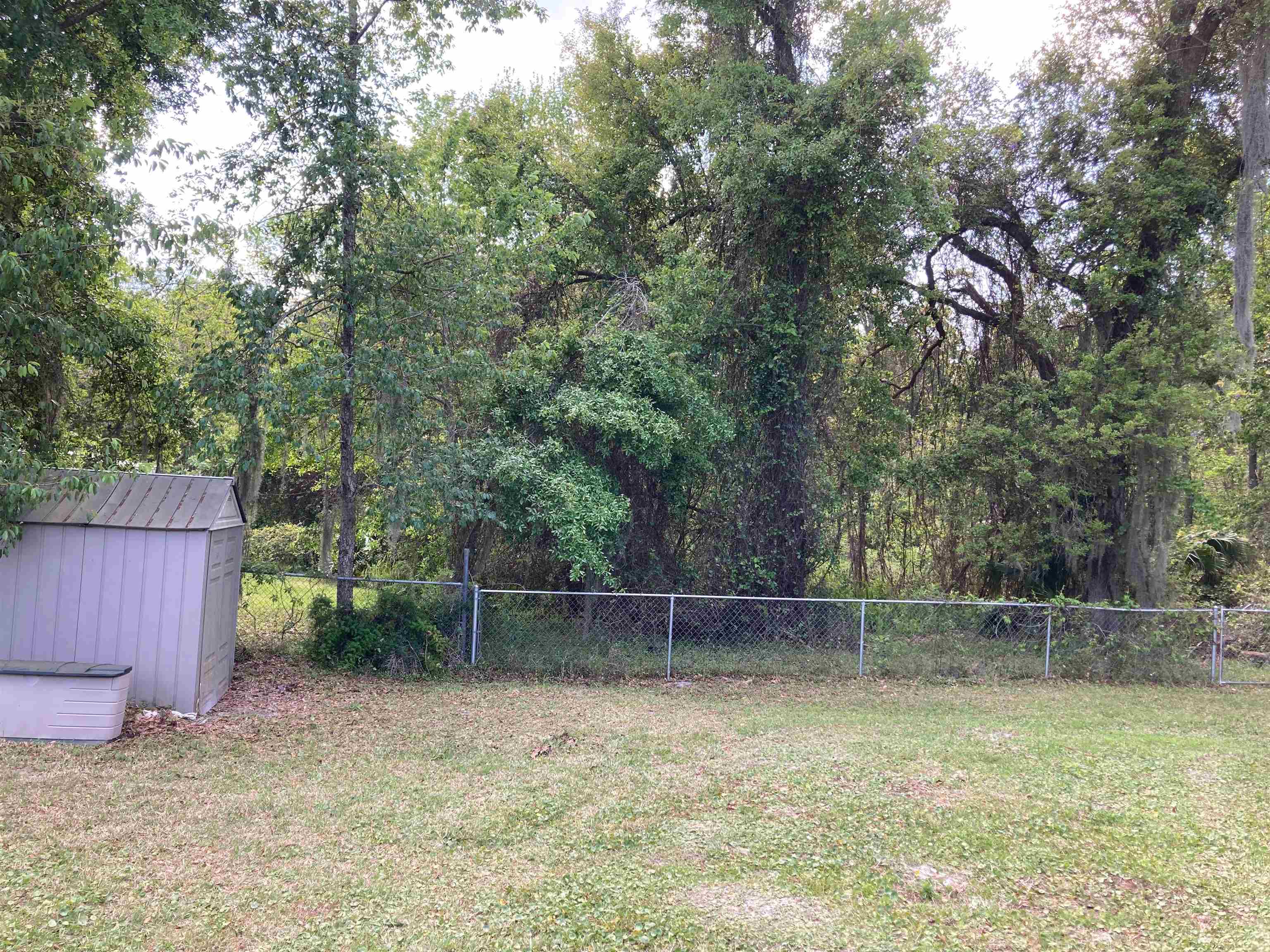 356 Cypress Road St. Augustine, FL 32086 - Photo 40 of 40 a backyard of a house with lots of green space