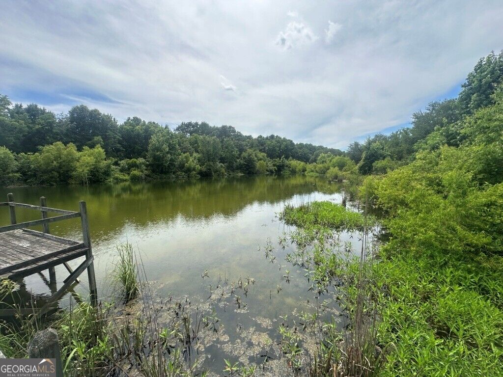 1808 State Rd S-38-674 Norway, SC 29113 - Photo 33 of 45 Gallery Image 33