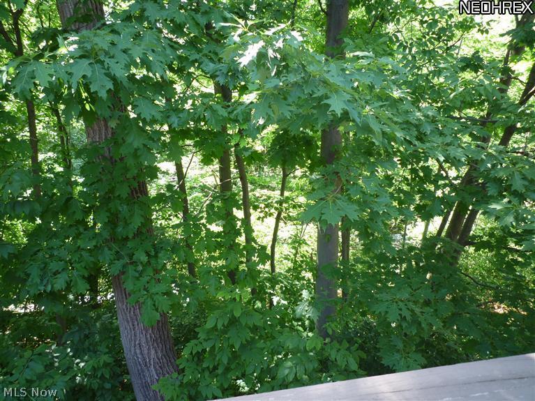 4655 Mayfield Road, Unit F South Euclid, OH 44121 - Photo 4 of 22