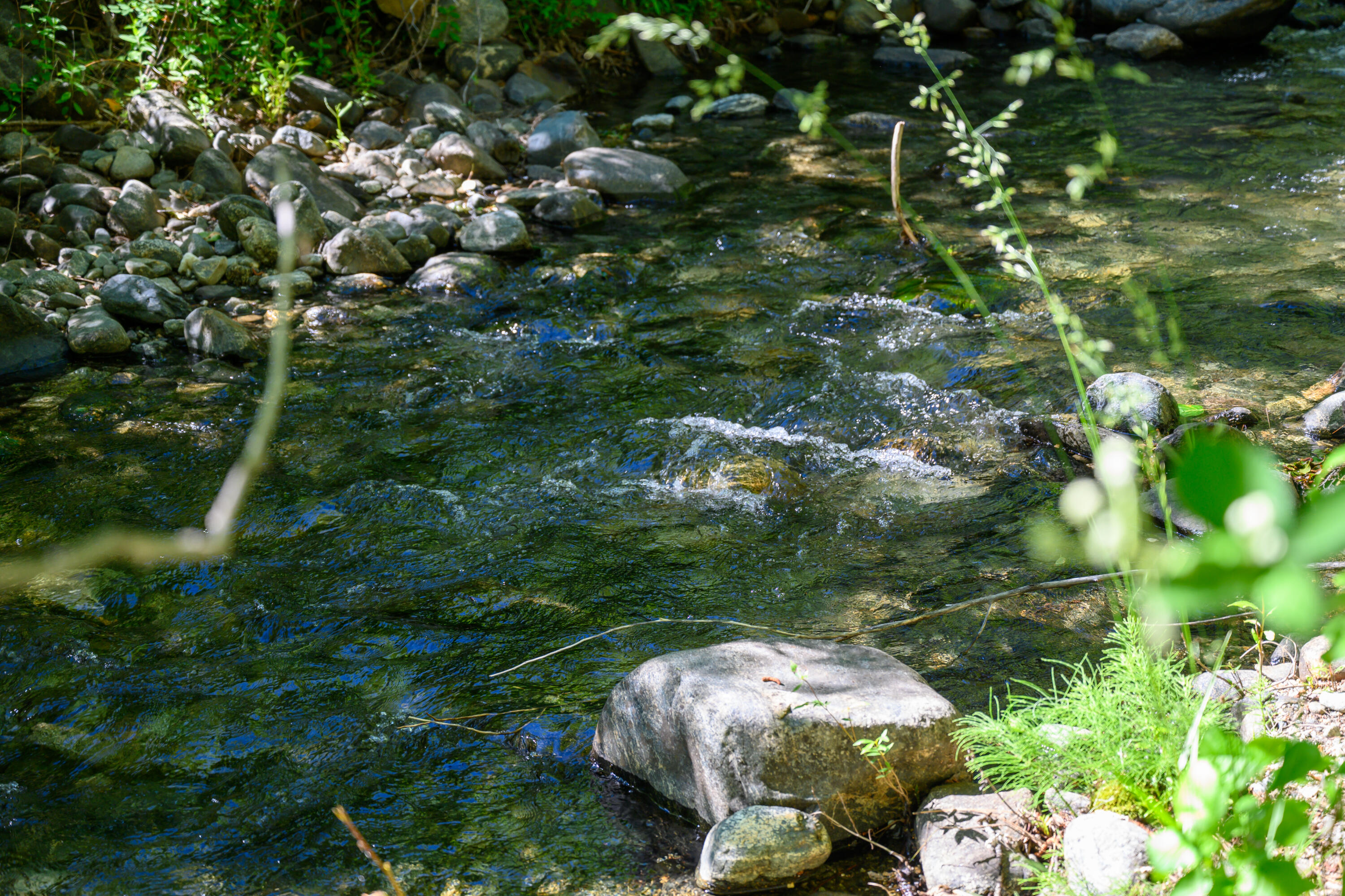 181 Meadow Road Weaverville, CA 96093 - Photo 1 of 38 E Weaver Creek