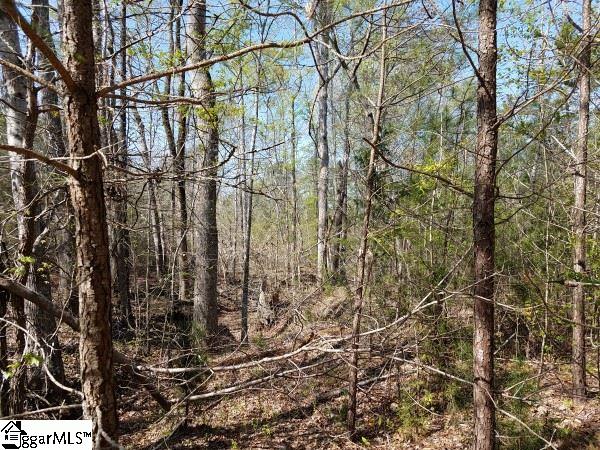 336 Philson Road Clinton, SC 29325 - Photo 21 of 29 Gallery Image 21