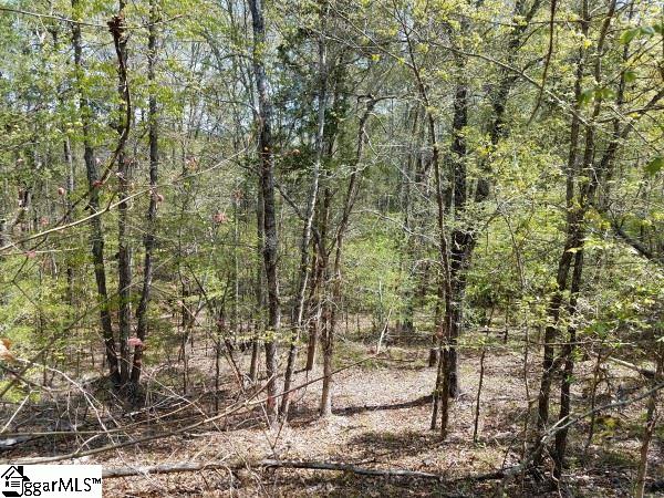 336 Philson Road Clinton, SC 29325 - Photo 24 of 29 Gallery Image 24