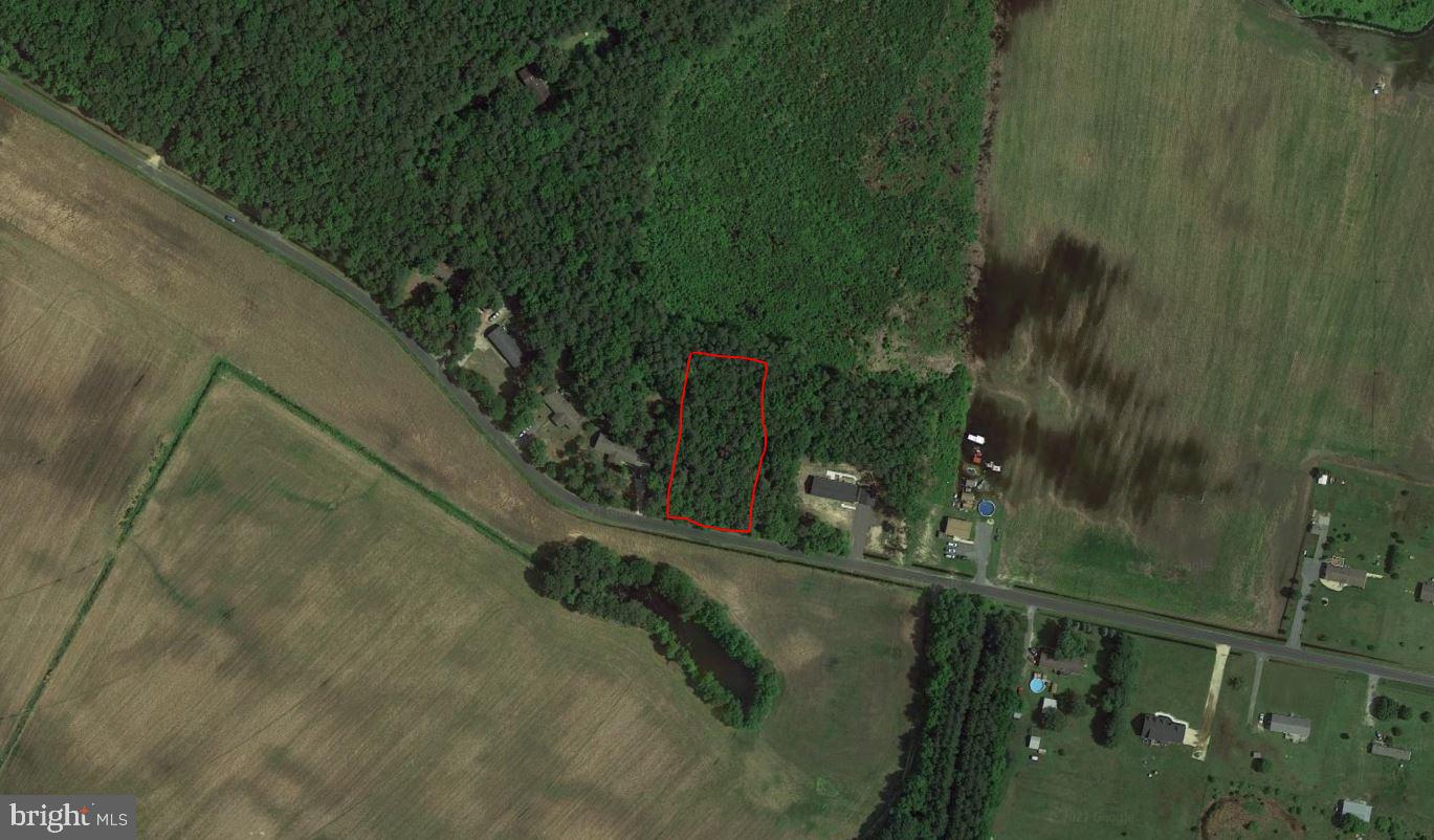 12 Johnson Road Laurel, DE 19956 - Photo 3 of 3 Arial View Google Earth