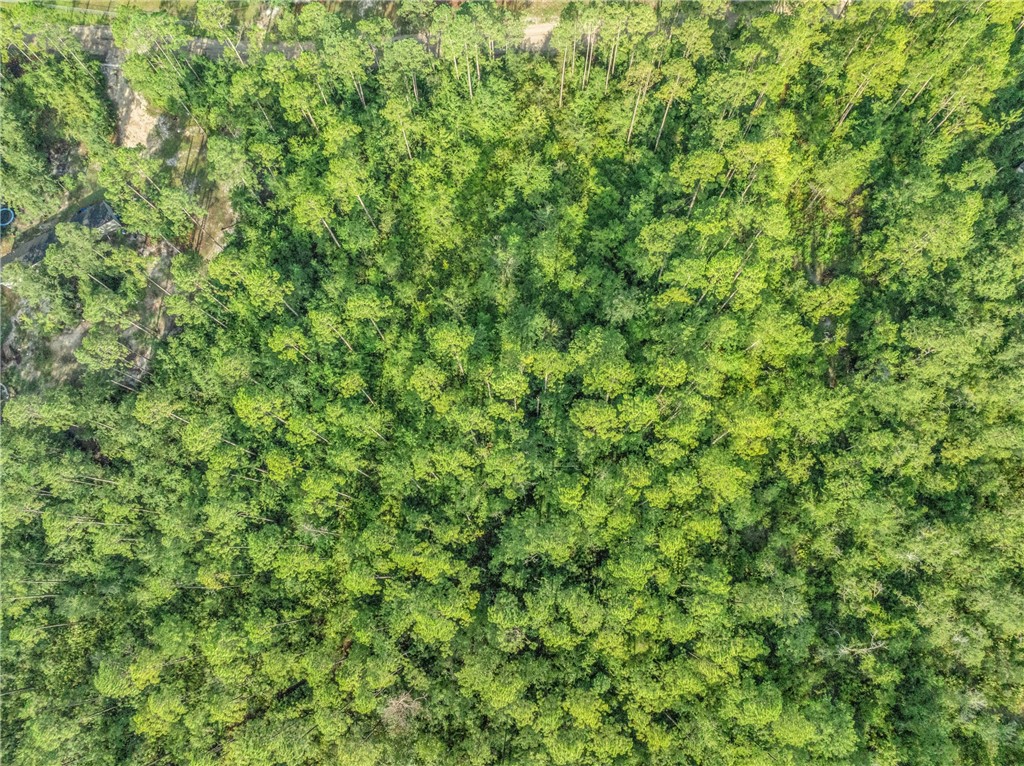 0 Rattler Run Hortense, GA 31543 - Photo 11 of 13