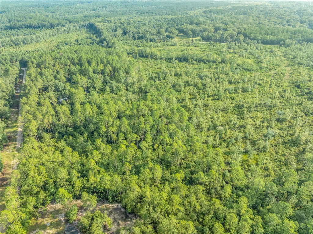 0 Rattler Run Hortense, GA 31543 - Photo 12 of 13