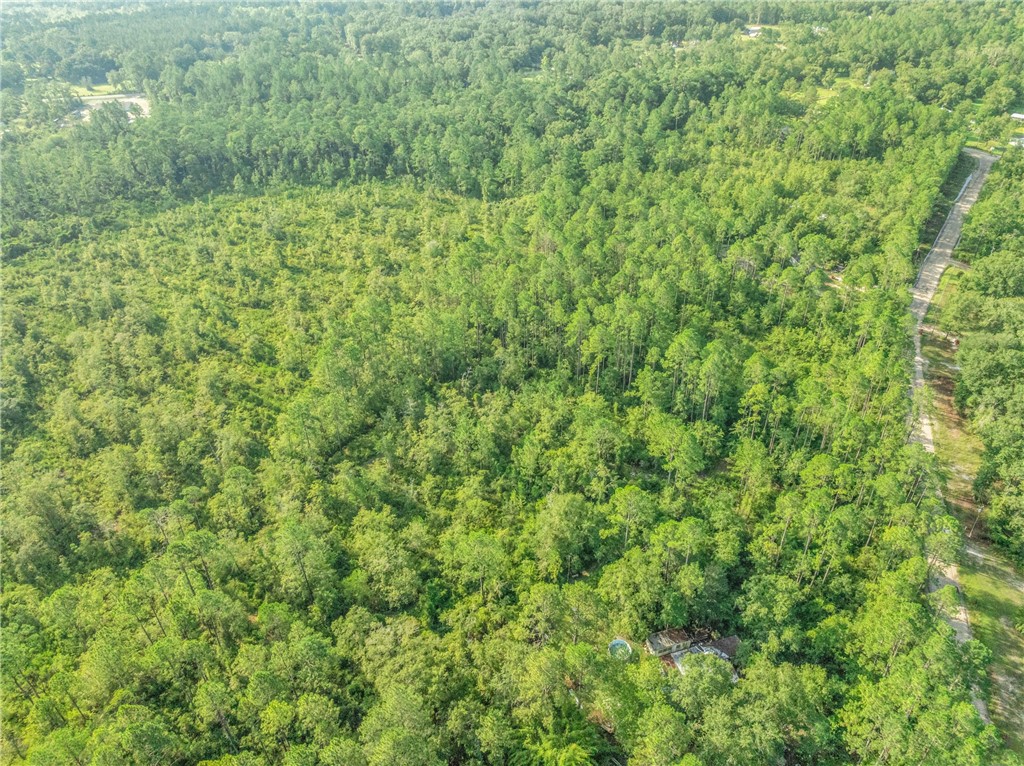 0 Rattler Run Hortense, GA 31543 - Photo 13 of 13