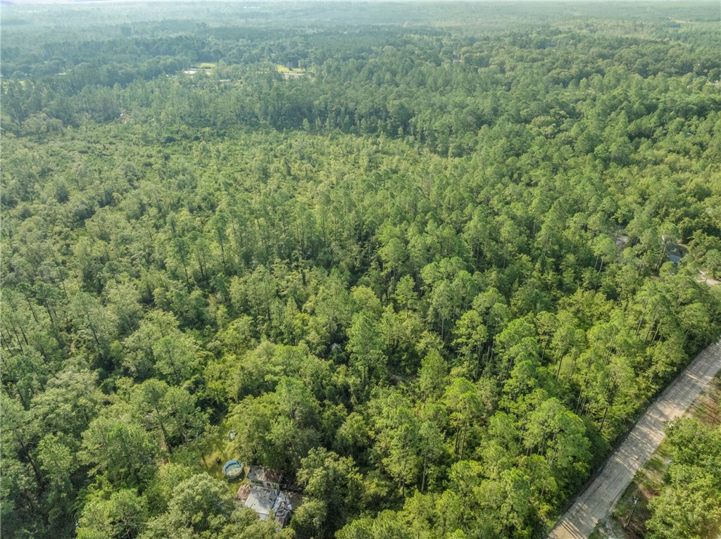 0 Rattler Run Hortense, GA 31543 - Photo 2 of 13