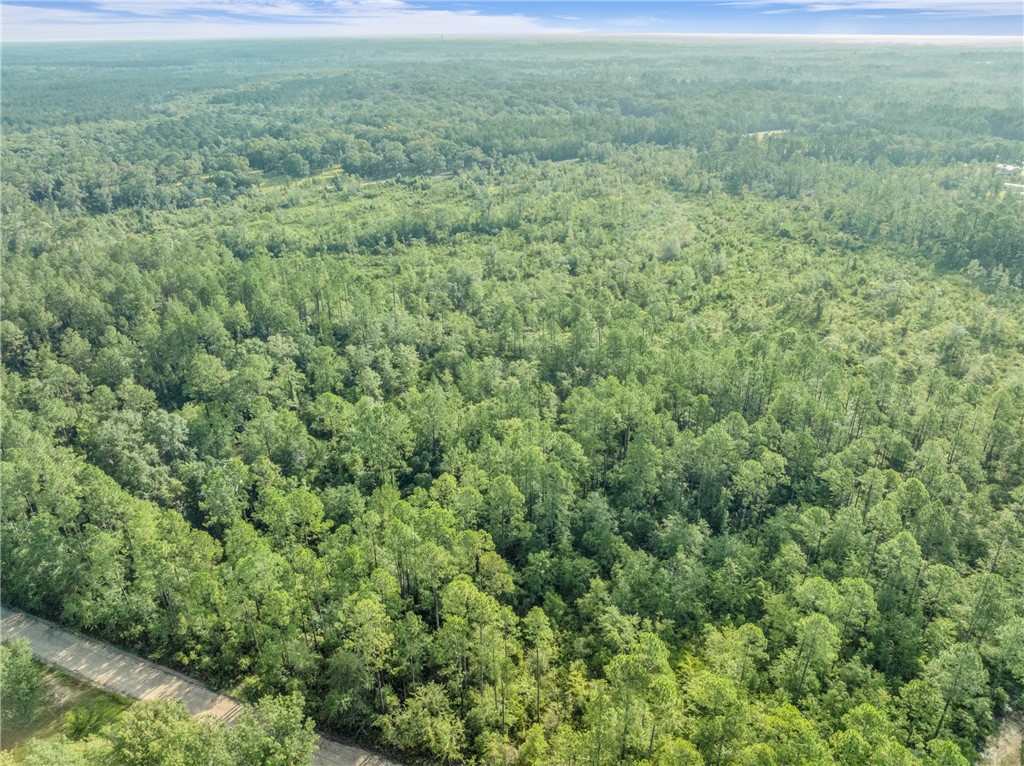 0 Rattler Run Hortense, GA 31543 - Photo 3 of 13