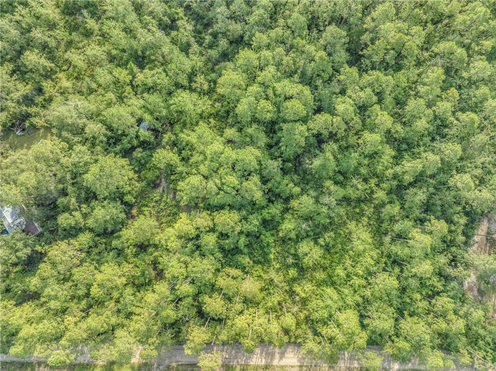 0 Rattler Run Hortense, GA 31543 - Photo 4 of 13